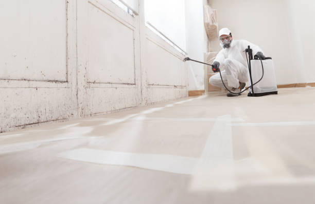 24/7 Emergency Mold Removal experts in Bedford, VA