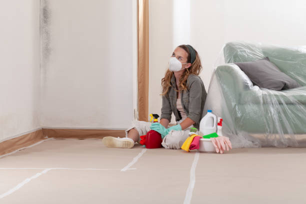 Reliable Mold Removal contractor in Bedford, VA by 24 Hour Mold Removal